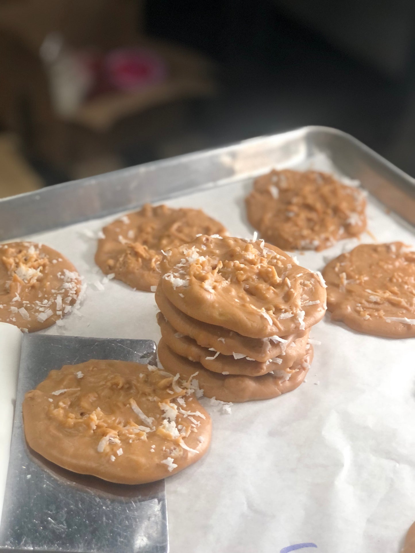 Coconut Pralines – Tropical Southern Treat (2 oz, Min. 4)