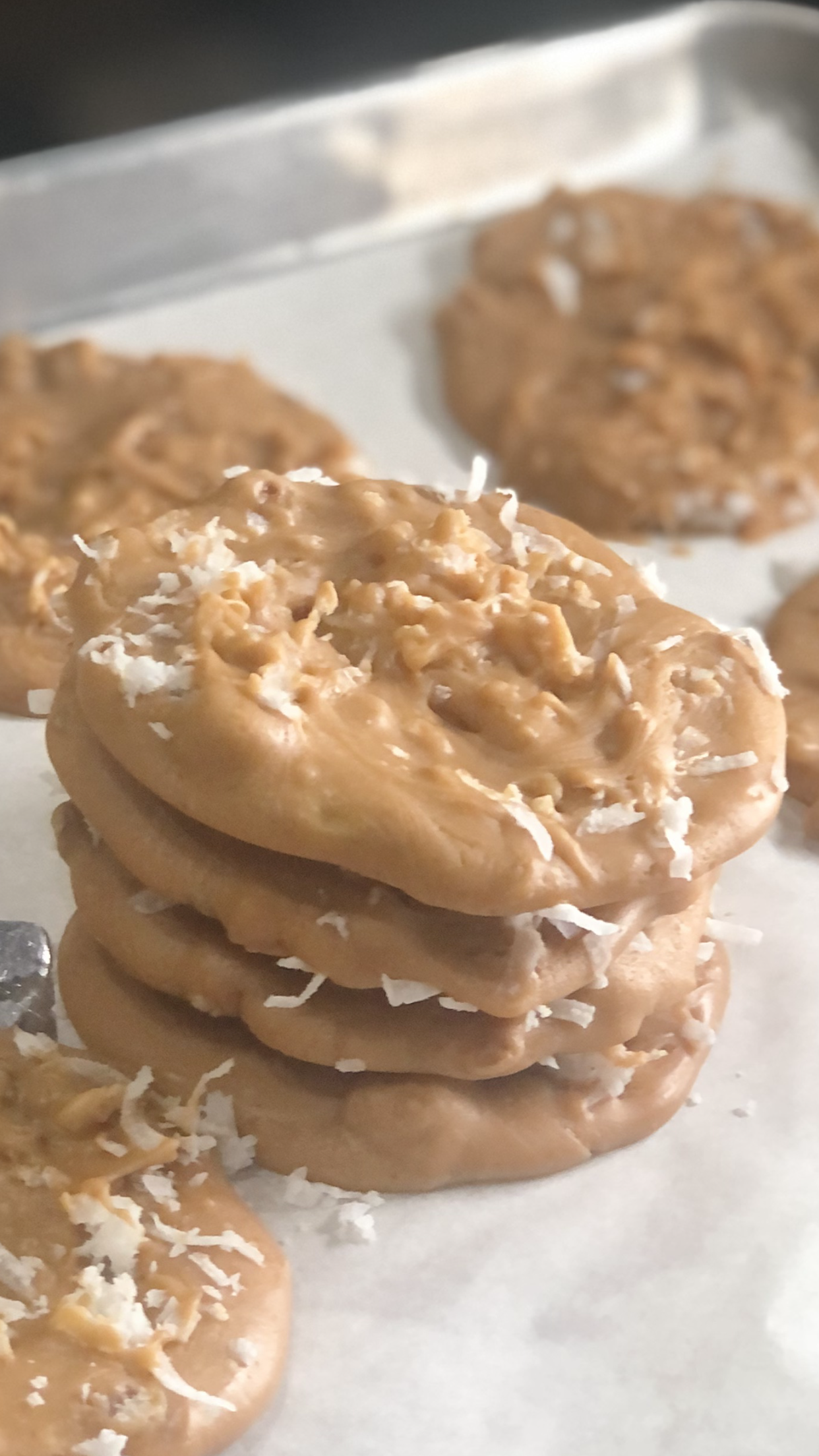 Coconut Pralines – Tropical Southern Treat (2 oz, Min. 4)